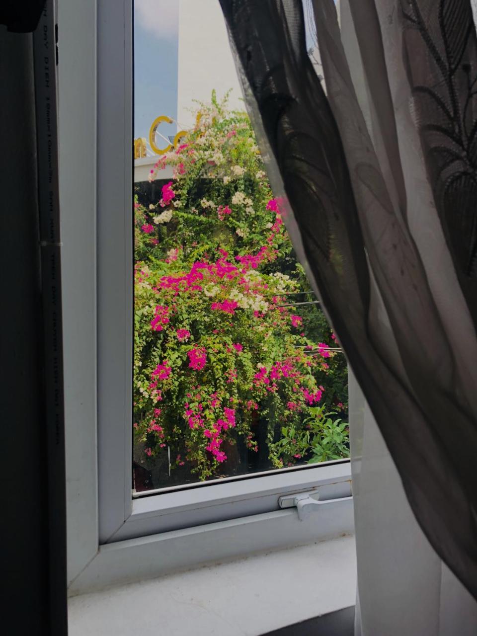 Tuong Van Homestay 岘港 外观 照片